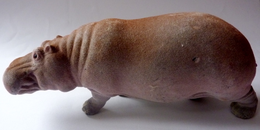 Hippopotamus Amphibius