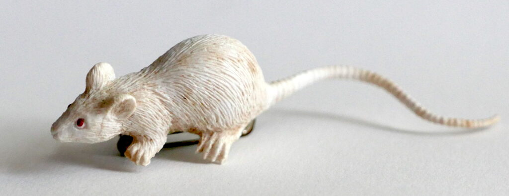foto van muis met lange staart